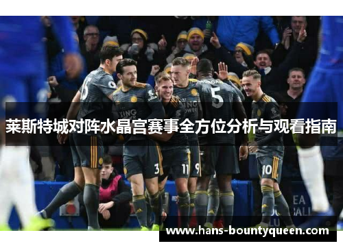 莱斯特城对阵水晶宫赛事全方位分析与观看指南