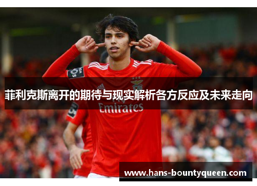 菲利克斯离开的期待与现实解析各方反应及未来走向