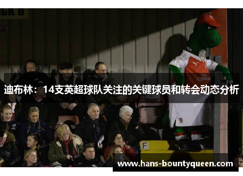 迪布林：14支英超球队关注的关键球员和转会动态分析